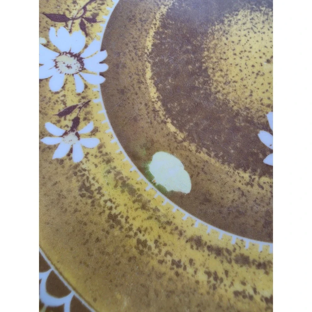 Vintage National Home Products Artisan Ware Melamine Daisy Plates Set of 4